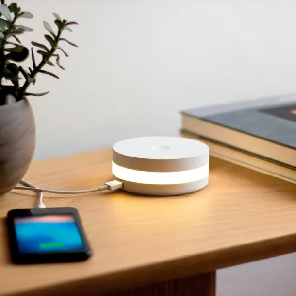 Lampada da tavolo con interruttore dimmer touch, dotata di 2 uscite Usb, My Eki Ring di Vesta