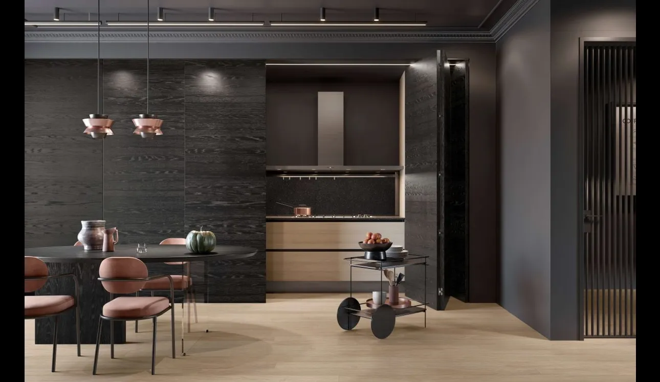 Cucina Design 02 lineare a scomparsa in legno di Rovere Nero e Rovere Ice di Garofoli