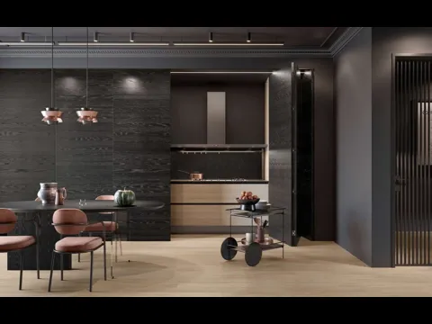 Cucina Design 02 lineare a scomparsa in legno di Rovere Nero e Rovere Ice di Garofoli